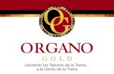 Organo Gold Presentacion 2012