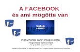 A facebook