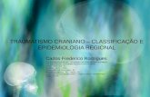 Traumatismo craniano – classificação e epidemiologia regional