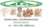 Traumatismos vertebromedular   neurocirugia.