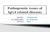 Pathogenetic issues of IgG4 related diseases