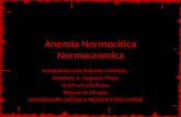 Anemia Normocítica-Normocrómica