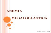 2  Anemia Megaloblastica