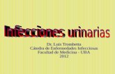 Infección urinaria 2012=dr trombetta