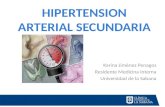 Hipertension arterial secundaria 1