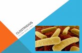 Clostridium perfringens, difficile y botulinum