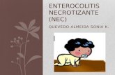 Enterocolitis necrotizante (nec)