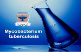 Mycobacterium Tuberculosis 2