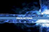 Exposición prolactina