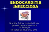 23   endocarditis infecciosa