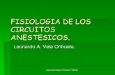Fisiología circuitos anestesicos Hospital Nacional Guillermo Almenara Irigoyen