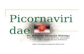 Picornavirus micro