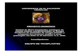Presentacion proyecto celulas-madres-isss-2006