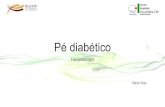1 pé diabético - fisiopatologia