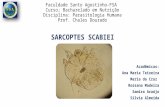 Sarcoptes Scabiei (sarna) Parasitologia Humana