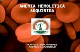 Anemia hemolitica adquirida (expo terminada)