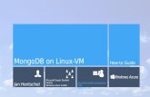 MongoDB on Linux VM in Windows Azure