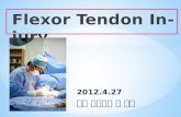 Flexor Tendon surgery