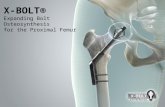 Hip Fracture Fixation with X-Bolt