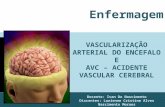 Anatomia vascularização arterial encefálica e avc