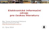 Elektronické informační zdroje pro českou literaturu