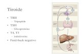 Tiroide ipotiroidismo e ipertiroidismo[1]