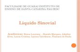 Liquido Sinovial