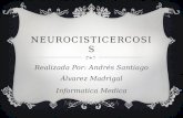 Neurocisticercosis - Diagnostico, tratamiento y control.
