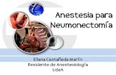 Anestesia para neumonectomia