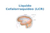 Liquido cefalorraquídeo (lcr)