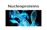 Nucleoproteins - Biochemistry