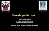 Female Genital Tract (1)