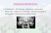 Radiografia Orbita Y Enf Inflamatorias