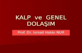 KALP ve GENEL DOLAŞIM  ( Prof.Dr. İsmail Hakkı NUR)