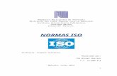 Normas iso misael m