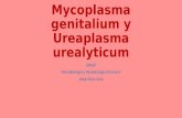 Mycoplasma genitalium y Ureaplasma urealyticum