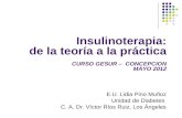 Insulinoterapia, de la teoría a la práctica
