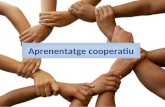 Aprenentatge cooperatiu