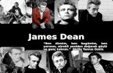 James Dean & Kritik Kütle