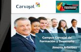 Implementación de la Universidad Corporativa Carvajal