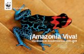 Amazonalive web2