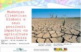 Mudanças Climáticas Globais e seus possíveis impactos na agricultura brasileira - Fernando  Macena