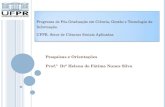 Pesquisas e orientações em andamento no Programa de Pós-Graduação em Ciência, Gestão e Tecnologia da Informação