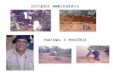 Estudos Ambientais de Alexandre Pessoa da Silva