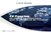 Livre blanc du peering en France