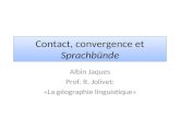 Contact, convergence et sprachbünde