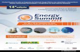 Energy Summit 2013