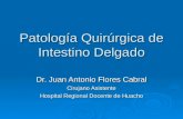 11 Patologia Qx Intestino Delgado