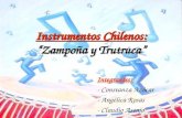 Instrumentos Chilenos
