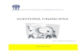 AuditorÍa Financier A